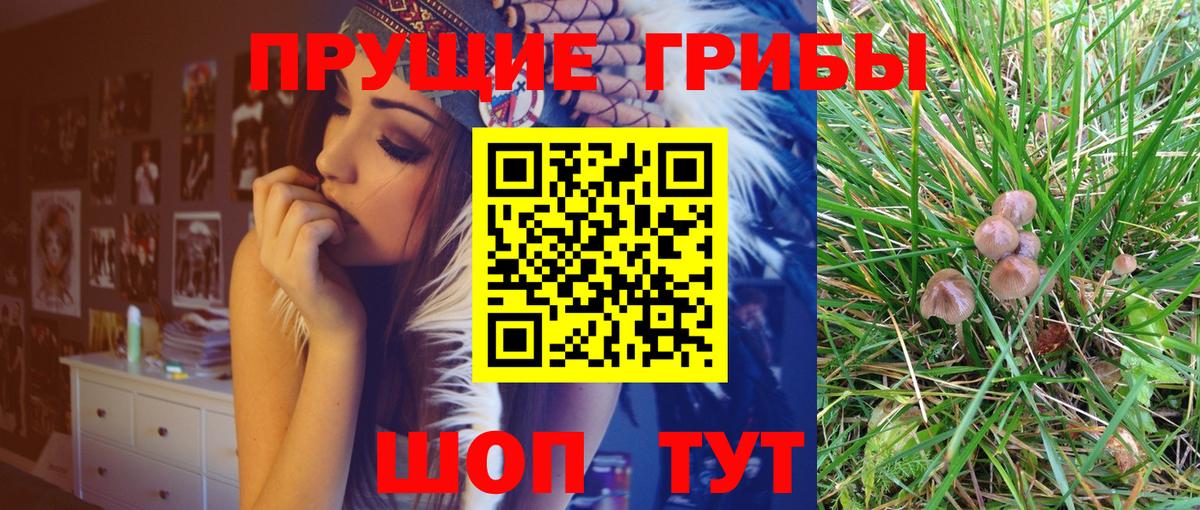 Галлюциногенные грибы GOLDEN TEACHER Киров