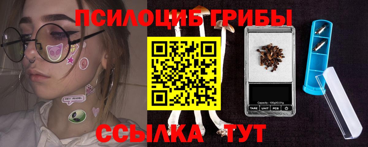 Киров  Галлюциногенные грибы MAGIC MUSHROOMS  Вход с VPN 